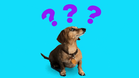 gif of a dog looking confused